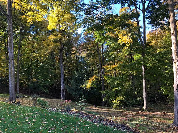 Private backyard