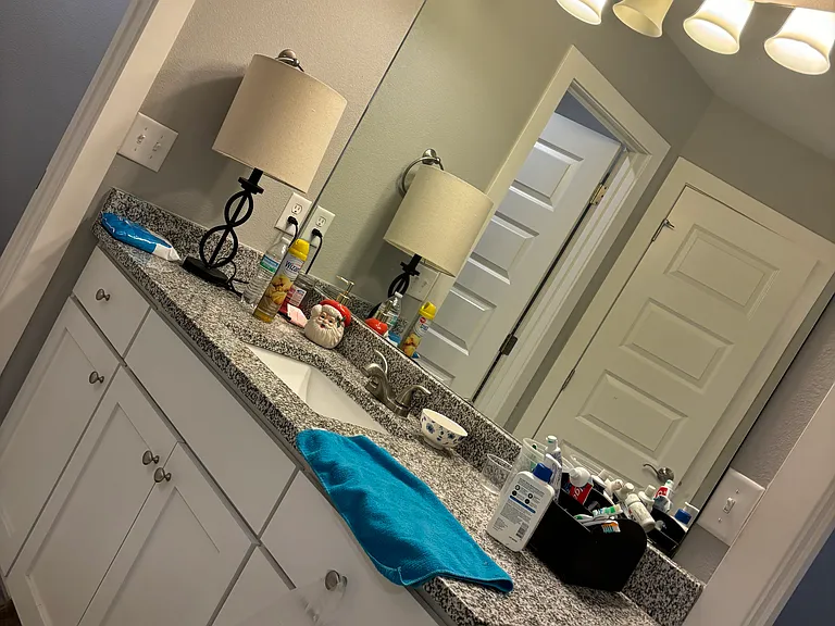 557 N Greylag Way — Photo 15