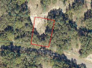 0 Fisher Ter #5, Ocklawaha, FL 32179