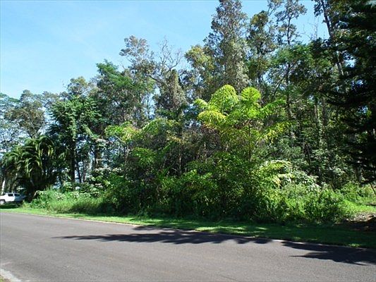 2nd image of 13-619 Hinalo St Lot 8