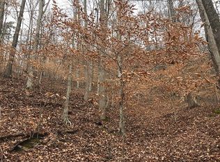 Wildcat Hollow Rd, New tazewell, TN 37825