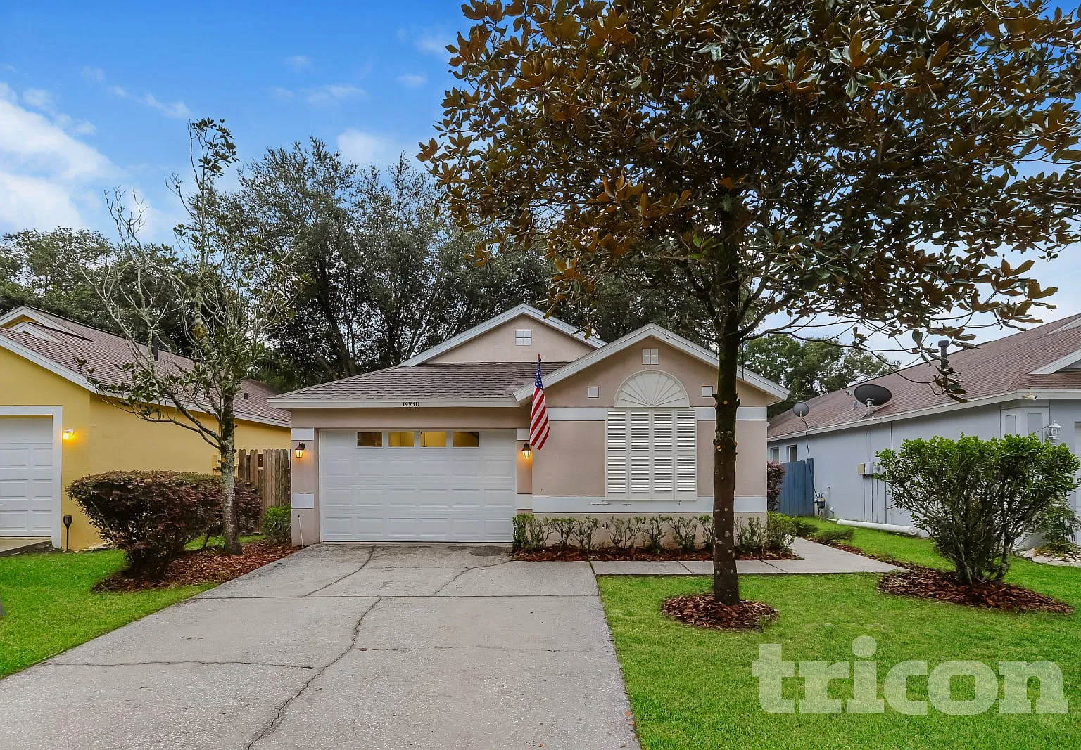 14930 Deer Meadow Drive Lutz FL — Photo 1