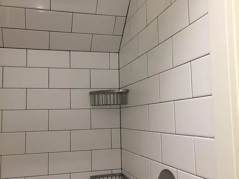 shower with angled ceiling