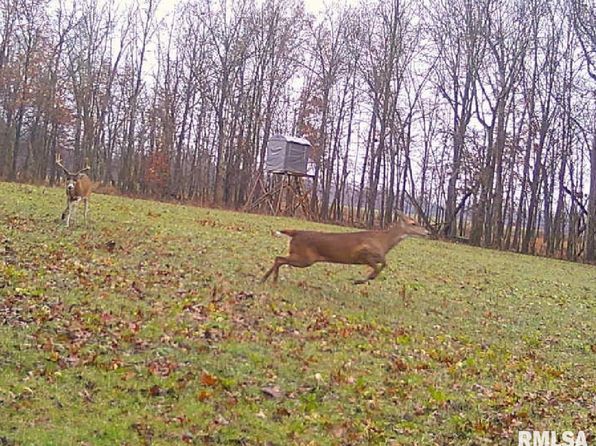 Rome Rd, West Frankfort, IL 62896