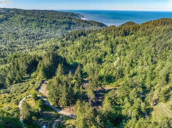 20352 Whaleshead Rd, Brookings, OR 97415