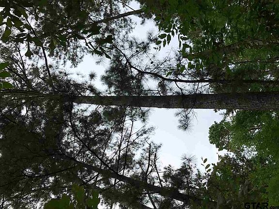 3rd image of 1599 SE Loop 456