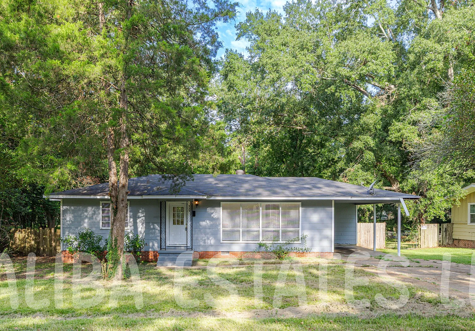 Oak Forest — Photo 1