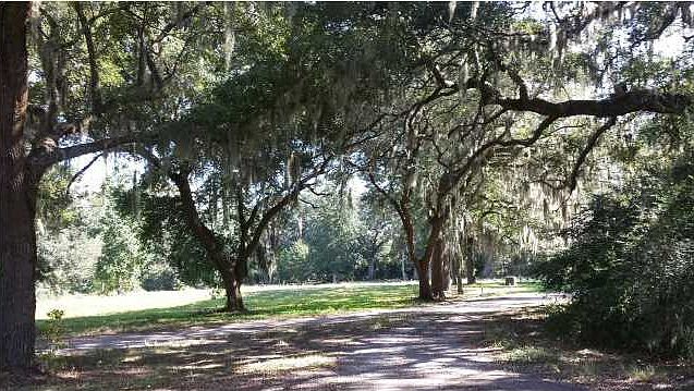 2nd image of 1 Sharkhole Rd