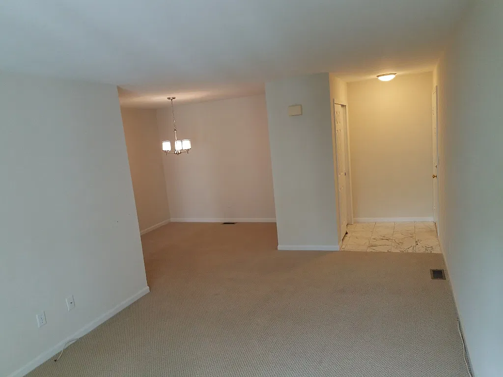 1 bed, $2,400 — Photo 3