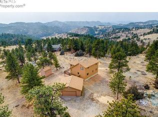 67 Lizard Head Mountain Dr, Livermore, CO 80536