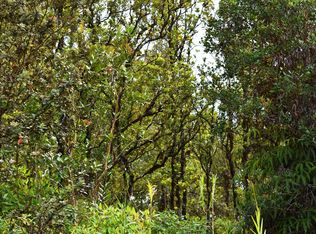 Pikake St, Mountain View, HI 96771