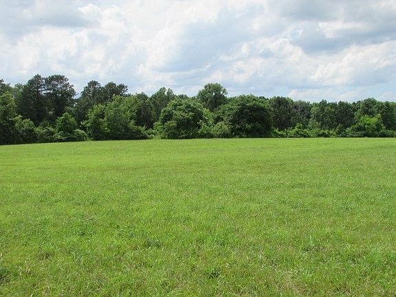 5th image of 350 County Road 350