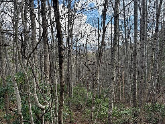 5th image of 0 Ledford Branch Rd