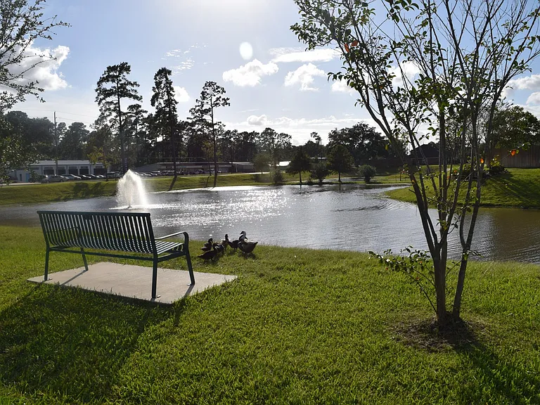3522 Spanish Acorn Ln — Photo 10