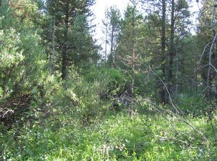 3531 Yale Kilgore Rd, Island Park, ID 83429