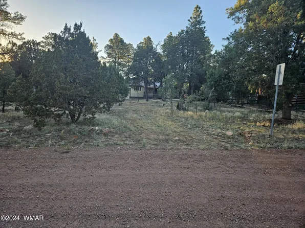 3334 Forest Dr, Overgaard, AZ 85933