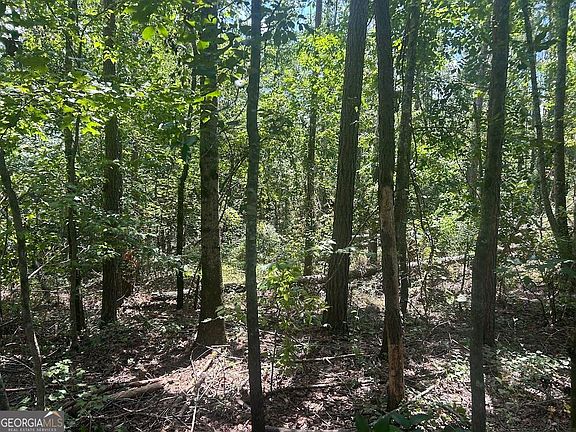 5th image of 111 Riversong Tract 26