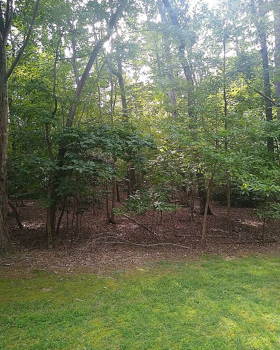 2nd image of 3311 Running Cedar Way