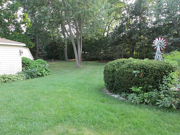 back yard