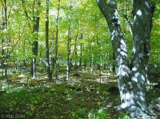LOT 2 Black Brook Rd, Webster, WI 54893