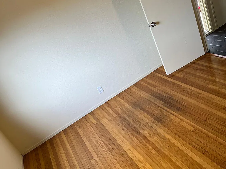173 Woodland Ave — Photo 10