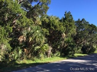 11883 W Lace Fern Ln, Homosassa, FL 34448