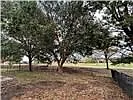 3 bed, 2.0 bath, 2123 sqft, $2,500 — Photo 4