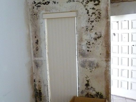 Mold View