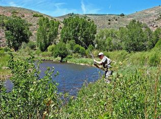 544 Cebolla River Road, Powderhorn, CO 81230