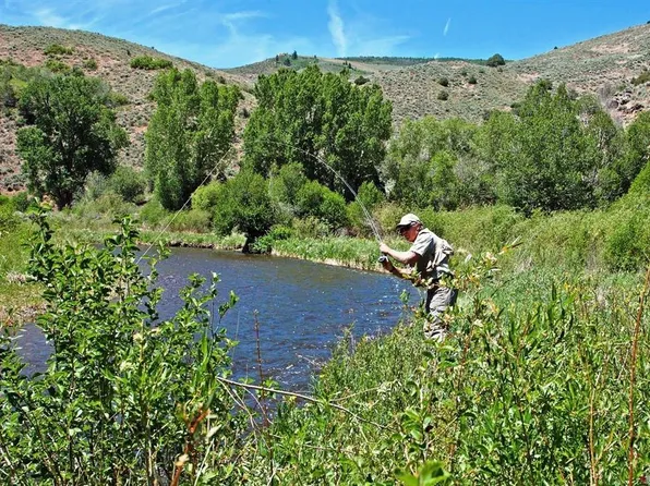 544 Cebolla River Road, Powderhorn, CO 81230