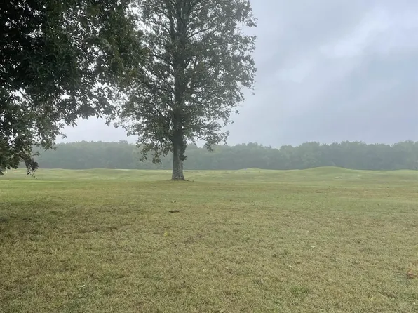 Torrey 72 #85-99, Ledbetter, KY 42058