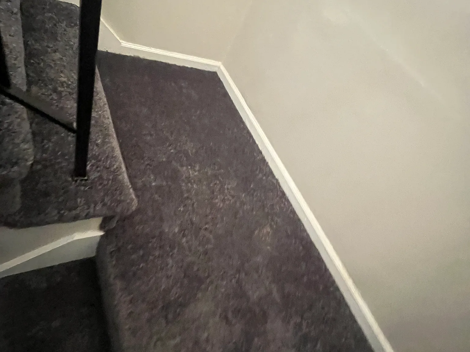 4 bed, 1.5 bath, 1000 sqft, $2,100 — Photo 3