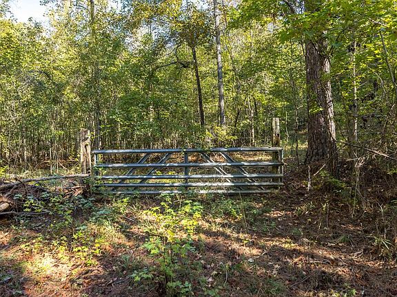 5th image of TRACT Trammell Mill Rd