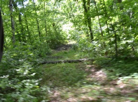 2nd image of 750AC Beauchamp Rd