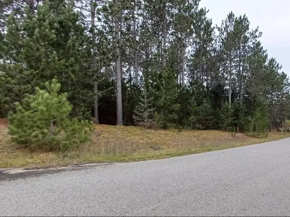 LOT 7 Bears Paw Trl, Vanderbilt, MI 49795