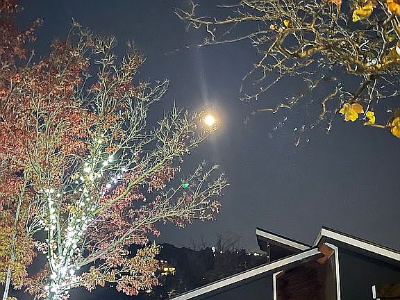 2nd image of 4618 Tulip Ave