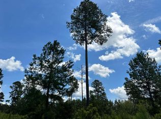 Lots 36 And 37 Landing Trl, Waynesville, GA 31566