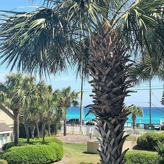86 Driftwood Bay S #162 — Photo 1