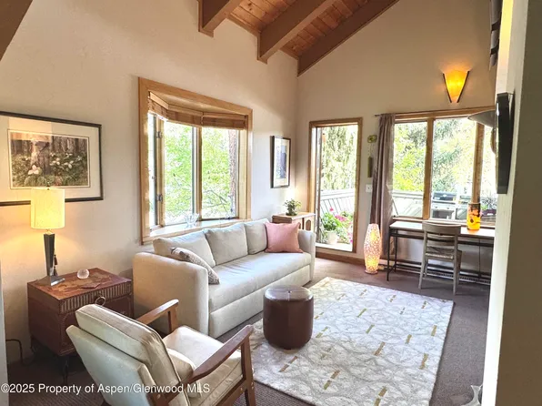 125 E Hyman Ave APT 1A, Aspen, CO 81611