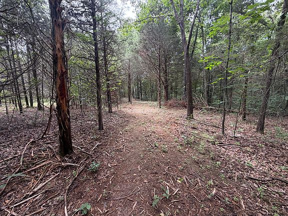 5th image of 000 County Road 318 Lot 5