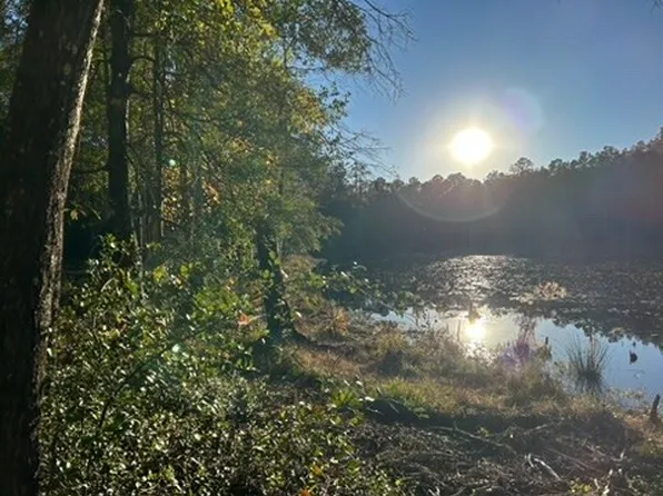 2423 Mill Creek Rd, Bethune, SC 29009