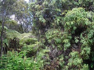 11th St, Volcano, HI 96785