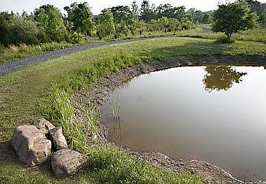 boulders aound the pond 6/07