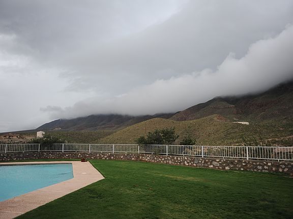 Backyard views 