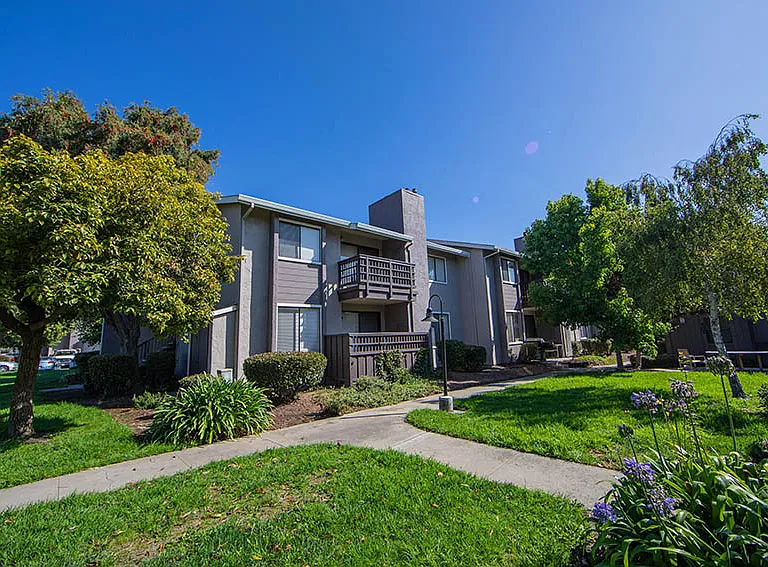 Laurel Grove — Photo 24