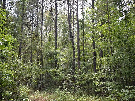 4th image of 0 County Road 54 W