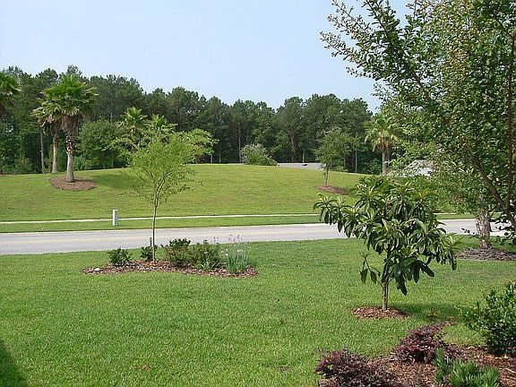 View From Front of Home