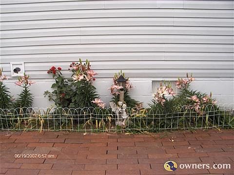 lots of flowers planted around