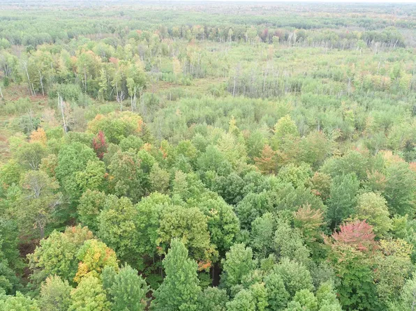 3022 Trombly Rd, Rock, MI 49880