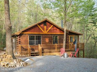 1311 Little Bushy Head Rd #247, Blue Ridge, GA 30513